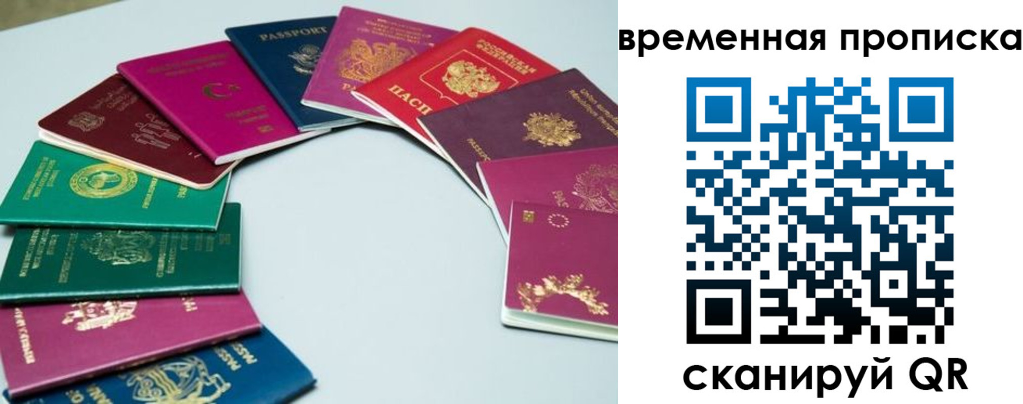 найти адрес прописки в Фокино